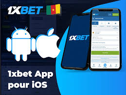 Overview of 1xbet